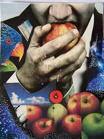Collage e ilustración
