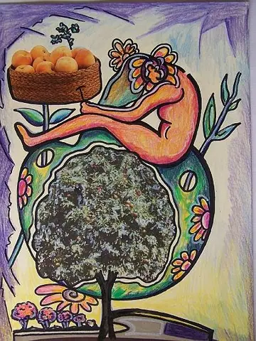 Collage e ilustración