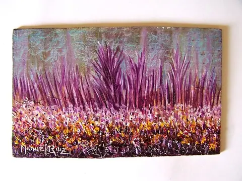 Paisajes